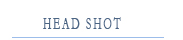 HeadShot_Movie