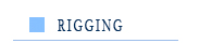 Rigging